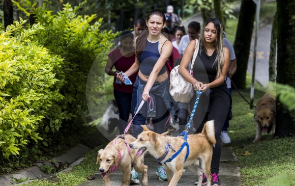 Espacio público para las mascotas, nueva apuesta en el Valle de Aburrá