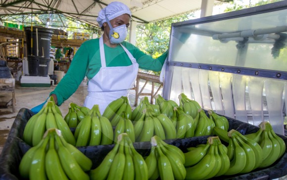 Brexit no afectará comercio con Reino Unido