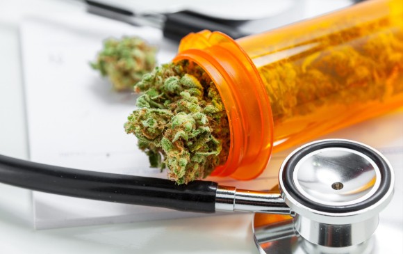Cannabis medicinal se apunta para la reactivación