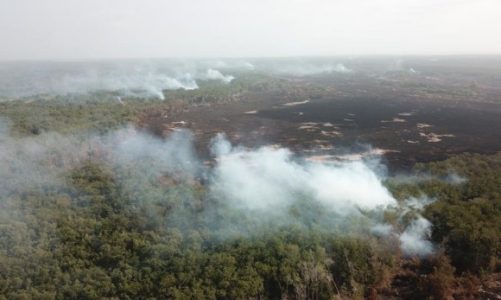 Isla Salamanca arde entre una tormenta perfecta