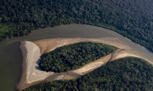 Reducir la biodiversidad podrían afectar la salud humana