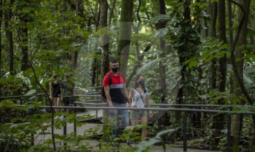 ¿Cómo va el turismo en Medellín y el Área Metropolitana?